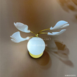 bra-crystal-lux-colibri-ap1-gold_main_40.jpg