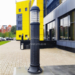 d15555000axf1rfc1_main_43.jpg