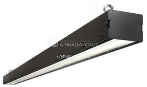 UT000019264_main_102.jpg