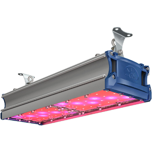 TL-PROM SM FITO 90 UN