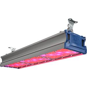 TL-PROM SM FITO 135 UN