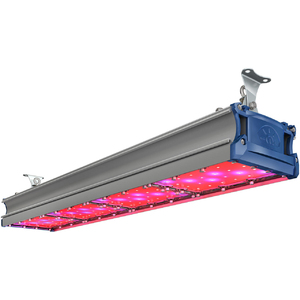 TL-PROM SM FITO 180 UN