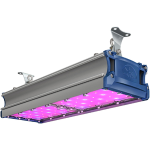 TL-PROM SM FITO 100 VR