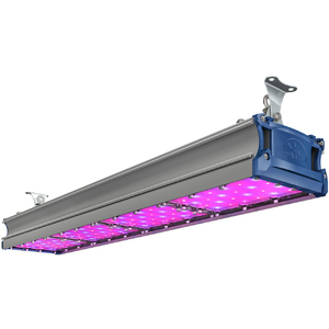 TL-PROM SM FITO 200 VR