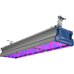 TL-PROM SM FITO 159 RS