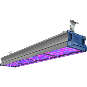 TL-PROM SM FITO 212 RS