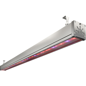 TL-FITO L1150 66 UN