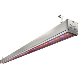 TL-FITO L1517 88 UN
