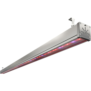 TL-FITO L1900 110 UN