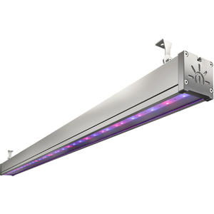 TL-FITO L1150 66 RS