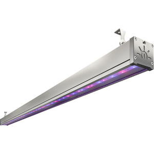 TL-FITO L1517 88 RS