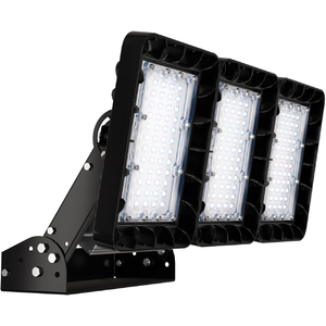 TL-SPORT APS 300 W 750