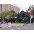 5707945e-a6f8-43e1-ba2f-9cddbb7e66ab_lotos_balashiha