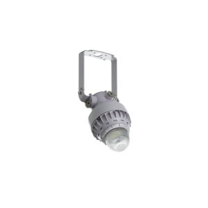GLOBUS LED