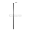 mainP61