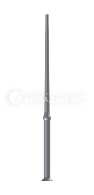 main_dp31