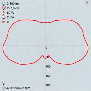 рту06-80-021 икар