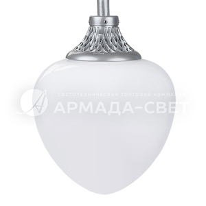 img_54b96978-3709-4bae-a5b9-6fd4088c58fb_kaplja_led