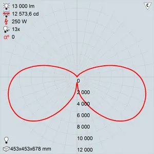 рту08-250-001