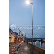 armadasvet_342