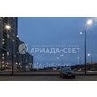 armadasvet_IMG_6620