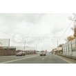 armadasvet_IMG_4467