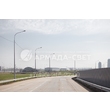 armadasvet_81