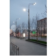armadasvet_200