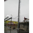 armadasvet_IMG_4782