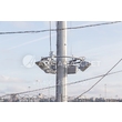 armadasvet_IMG_4091