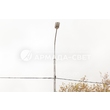 armadasvet_IMG_4410