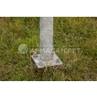 armadasvet_IMG_4381