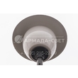 armadasvet_IMG_6484