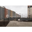 armadasvet_IMG_6488