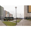 armadasvet_IMG_6507