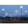 armadasvet_IMG_6613