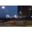 armadasvet_IMG_6633
