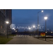 armadasvet_IMG_6638