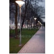 armadasvet_209