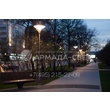 armadasvet_210