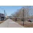 armadasvet_IMG_0586