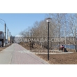 armadasvet_IMG_0587