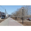 armadasvet_IMG_0588
