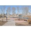 armadasvet_IMG_0593