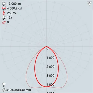 РО04-250-001