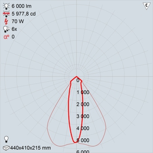 ЖО04-70-001