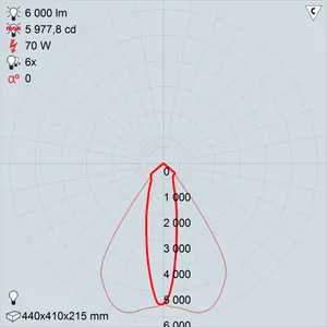 ЖО04-70-001