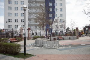 armadasvet_264