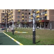 armadasvet_250