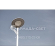 armadasvet_113